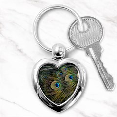 Peacock Tail Feathers Close Up Key Chains (heart)  by Pakrebo