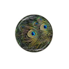 Peacock Tail Feathers Close Up Hat Clip Ball Marker (4 Pack) by Pakrebo