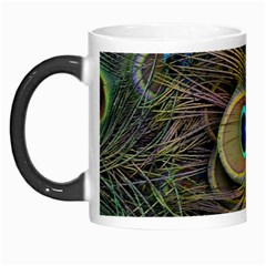 Peacock Tail Feathers Close Up Morph Mugs by Pakrebo