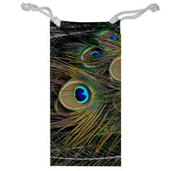 Peacock Tail Feathers Close Up Jewelry Bag by Pakrebo