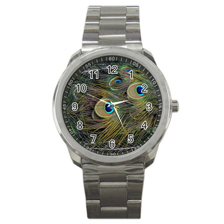 Peacock Tail Feathers Close Up Sport Metal Watch