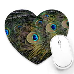 Peacock Tail Feathers Close Up Heart Mousepads by Pakrebo