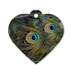 Peacock Tail Feathers Close Up Dog Tag Heart (two Sides) by Pakrebo