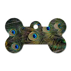 Peacock Tail Feathers Close Up Dog Tag Bone (one Side) by Pakrebo