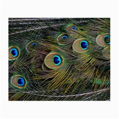 Peacock Tail Feathers Close Up Small Glasses Cloth (2-side) by Pakrebo