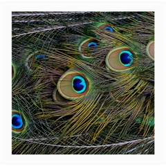 Peacock Tail Feathers Close Up Medium Glasses Cloth by Pakrebo