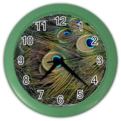 Peacock Tail Feathers Close Up Color Wall Clock by Pakrebo