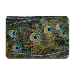 Peacock Tail Feathers Close Up Small Doormat  by Pakrebo