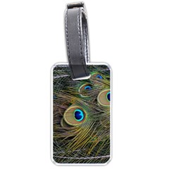 Peacock Tail Feathers Close Up Luggage Tags (one Side)  by Pakrebo