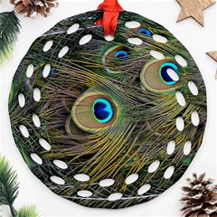 Peacock Tail Feathers Close Up Ornament (round Filigree) by Pakrebo