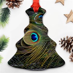 Peacock Tail Feathers Close Up Ornament (christmas Tree)  by Pakrebo