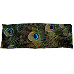 Peacock Tail Feathers Close Up Body Pillow Case Dakimakura (two Sides) by Pakrebo