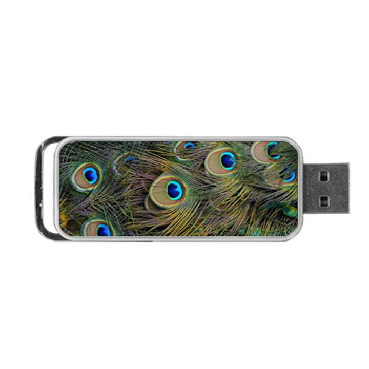 Peacock Tail Feathers Close Up Portable USB Flash (One Side)