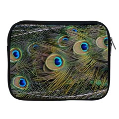 Peacock Tail Feathers Close Up Apple Ipad 2/3/4 Zipper Cases by Pakrebo