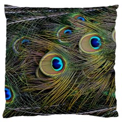 Peacock Tail Feathers Close Up Large Flano Cushion Case (one Side) by Pakrebo