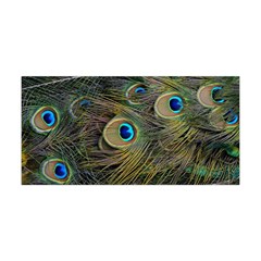 Peacock Tail Feathers Close Up Yoga Headband by Pakrebo