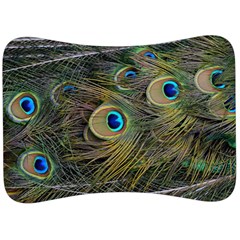 Peacock Tail Feathers Close Up Velour Seat Head Rest Cushion by Pakrebo