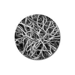 Nerves Cells Dendrites Sepia Magnet 3  (round) by Pakrebo