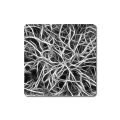 Nerves Cells Dendrites Sepia Square Magnet by Pakrebo