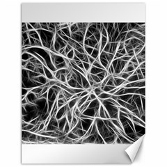 Nerves Cells Dendrites Sepia Canvas 12  x 16 