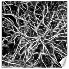 Nerves Cells Dendrites Sepia Canvas 16  x 16 