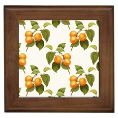 Apricot Fruit Vintage Art Framed Tiles by Pakrebo