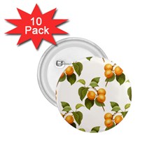 Apricot Fruit Vintage Art 1 75  Buttons (10 Pack) by Pakrebo