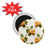 Apricot Fruit Vintage Art 1 75  Magnets (10 Pack)  by Pakrebo