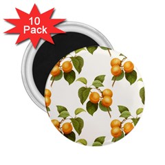 Apricot Fruit Vintage Art 2 25  Magnets (10 Pack)  by Pakrebo