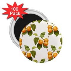 Apricot Fruit Vintage Art 2 25  Magnets (100 Pack)  by Pakrebo