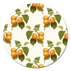 Apricot Fruit Vintage Art Magnet 5  (round) by Pakrebo