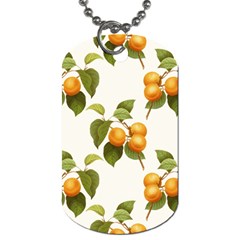 Apricot Fruit Vintage Art Dog Tag (one Side) by Pakrebo