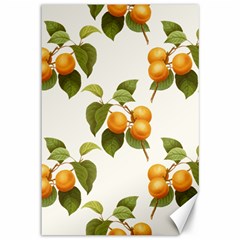 Apricot Fruit Vintage Art Canvas 12  X 18  by Pakrebo