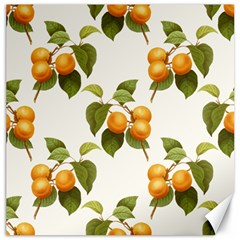 Apricot Fruit Vintage Art Canvas 20  X 20  by Pakrebo