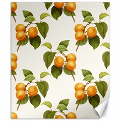 Apricot Fruit Vintage Art Canvas 20  X 24  by Pakrebo