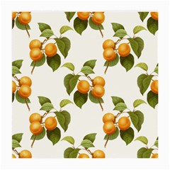 Apricot Fruit Vintage Art Medium Glasses Cloth (2-side) by Pakrebo