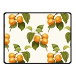 Apricot Fruit Vintage Art Fleece Blanket (Small) 50 x40  Blanket Front