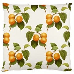 Apricot Fruit Vintage Art Large Cushion Case (one Side) by Pakrebo