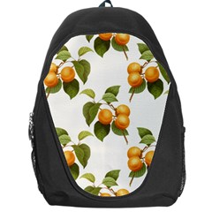 Apricot Fruit Vintage Art Backpack Bag by Pakrebo