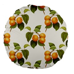 Apricot Fruit Vintage Art Large 18  Premium Round Cushions by Pakrebo