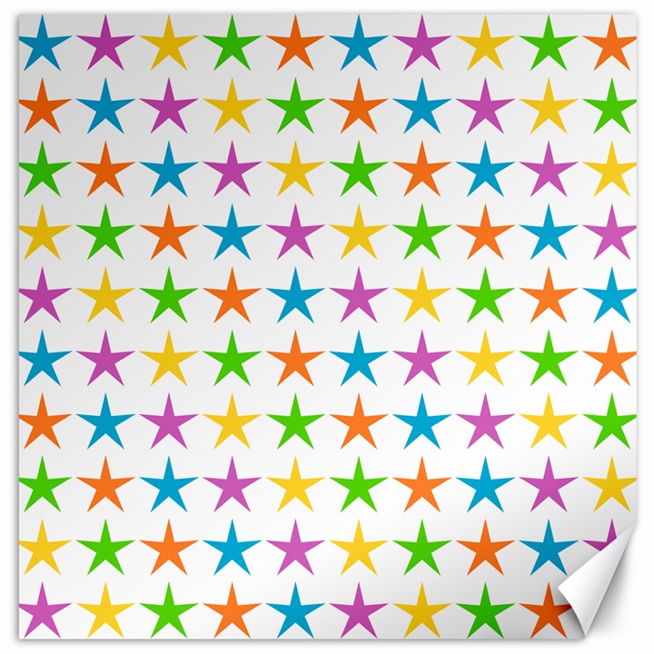 Star Pattern Design Decoration Canvas 20  x 20 