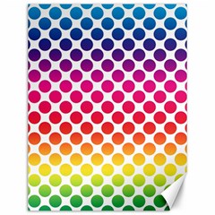 Polka Dots Spectrum Colours Dots Canvas 12  X 16  by Pakrebo