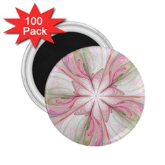 Pink Blue Flower Blossom Rose 2 25  Magnets (100 Pack)  by Pakrebo