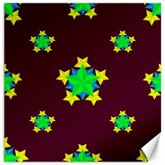 Pattern Star Vector Multi Color Canvas 16  x 16 