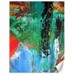 Garden 2 Canvas 12  X 16  by WILLBIRDWELL