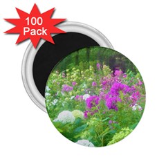 Annabella Hydrangeas And Purple Garden Landscape 2 25  Magnets (100 Pack)  by myrubiogarden