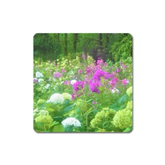 Annabella Hydrangeas And Purple Garden Landscape Square Magnet by myrubiogarden