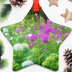 Annabella Hydrangeas And Purple Garden Landscape Star Ornament (two Sides)