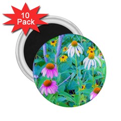 White And Purple Coneflowers And Yellow Rudbeckia 2 25  Magnets (10 Pack)  by myrubiogarden