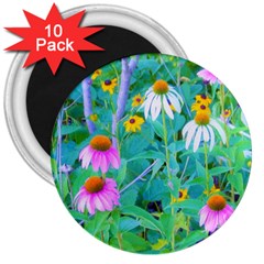 White And Purple Coneflowers And Yellow Rudbeckia 3  Magnets (10 Pack)  by myrubiogarden